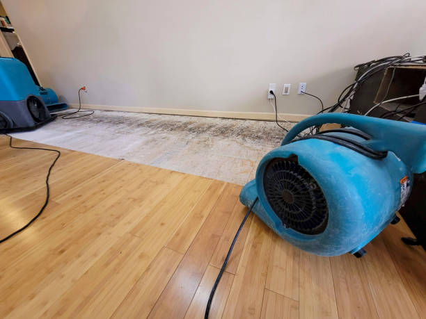 Reliable Basement Flood Cleanup contractor in East Orleans, MA by Hirex Water Damage