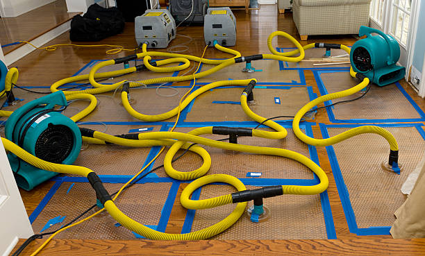 Professional Basement Flood Cleanup technician working in East Orleans, MA